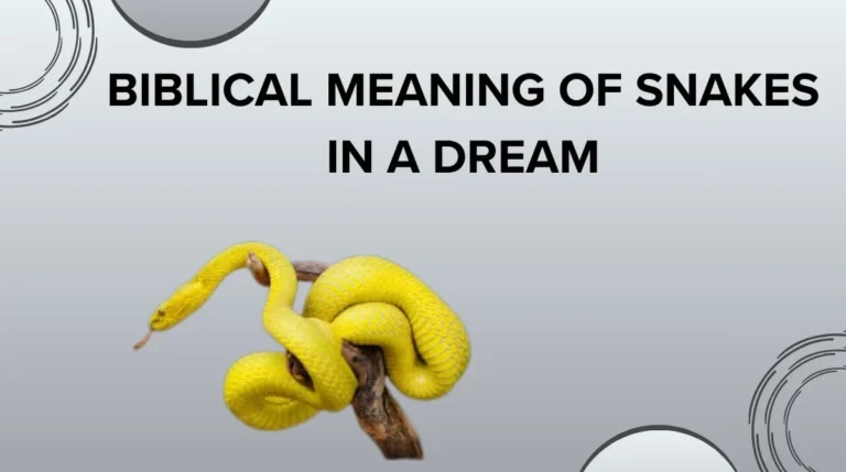 Biblical Meaning of Snakes in a Dream