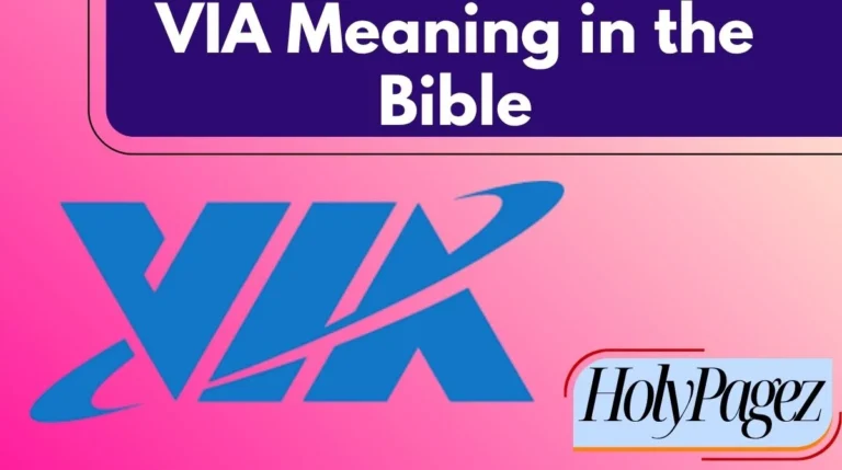 VIA Meaning in the Bible