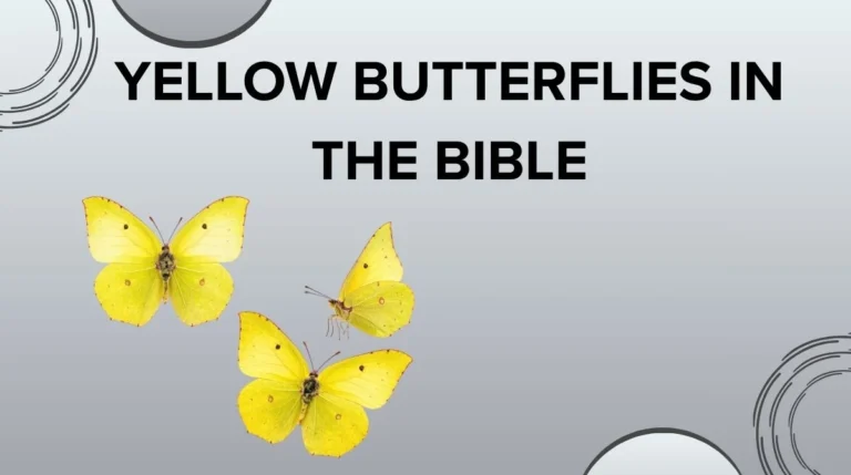Yellow Butterflies in the Bible