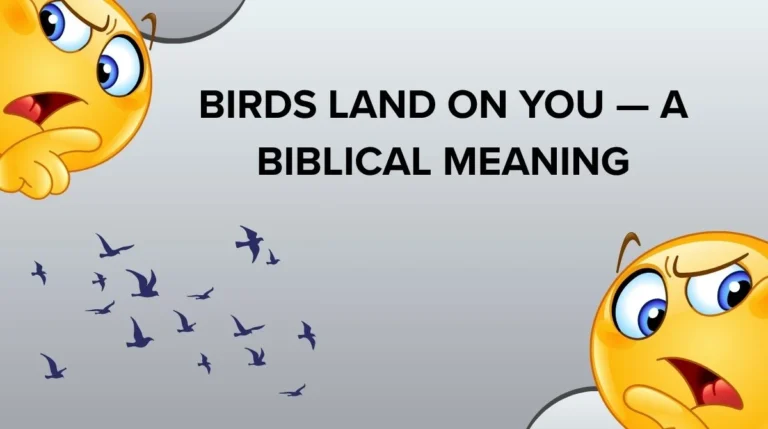 Birds Land on You — A Biblical Meaning
