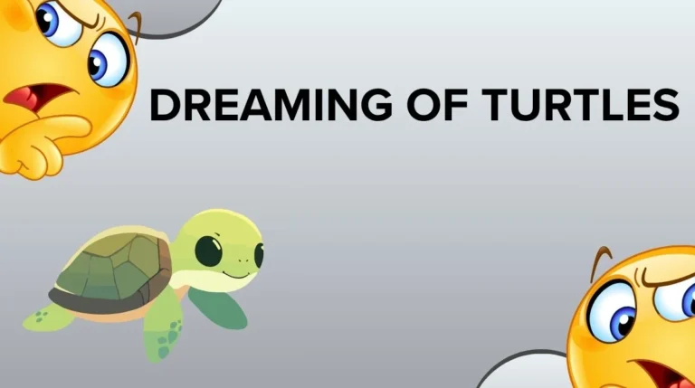 Dreaming of Turtles