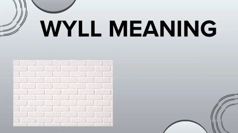 Wyll Meaning