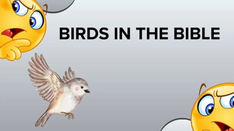 Birds in the Bible