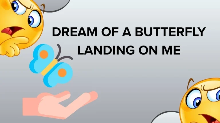 Dream of a Butterfly Landing on Me
