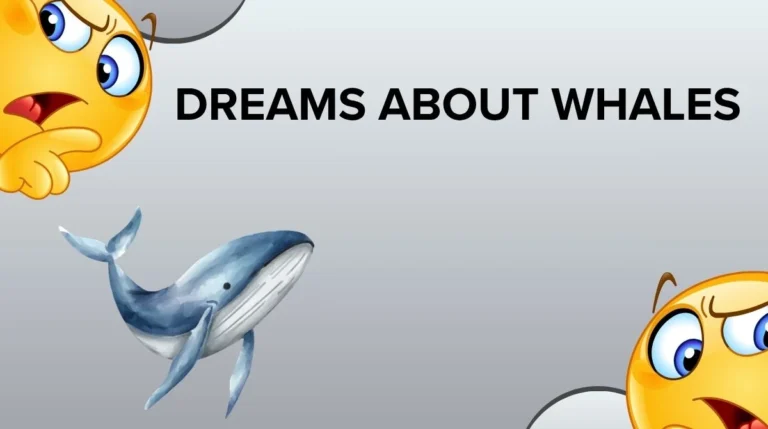 Dreams About Whales