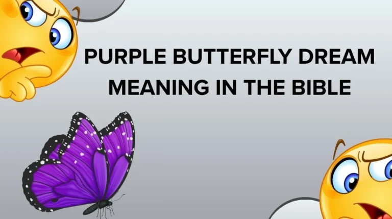 Purple Butterfly Dream Meaning in the Bible