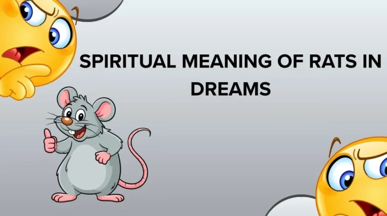 Spiritual Meaning of Rats in Dreams